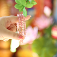 Dâu Hồng Tỳ Hưu - Làm Dịu Những Căng Thẳng - Chiêu Tài